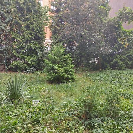 Apartament Przedzamcze Торунь Экстерьер фото