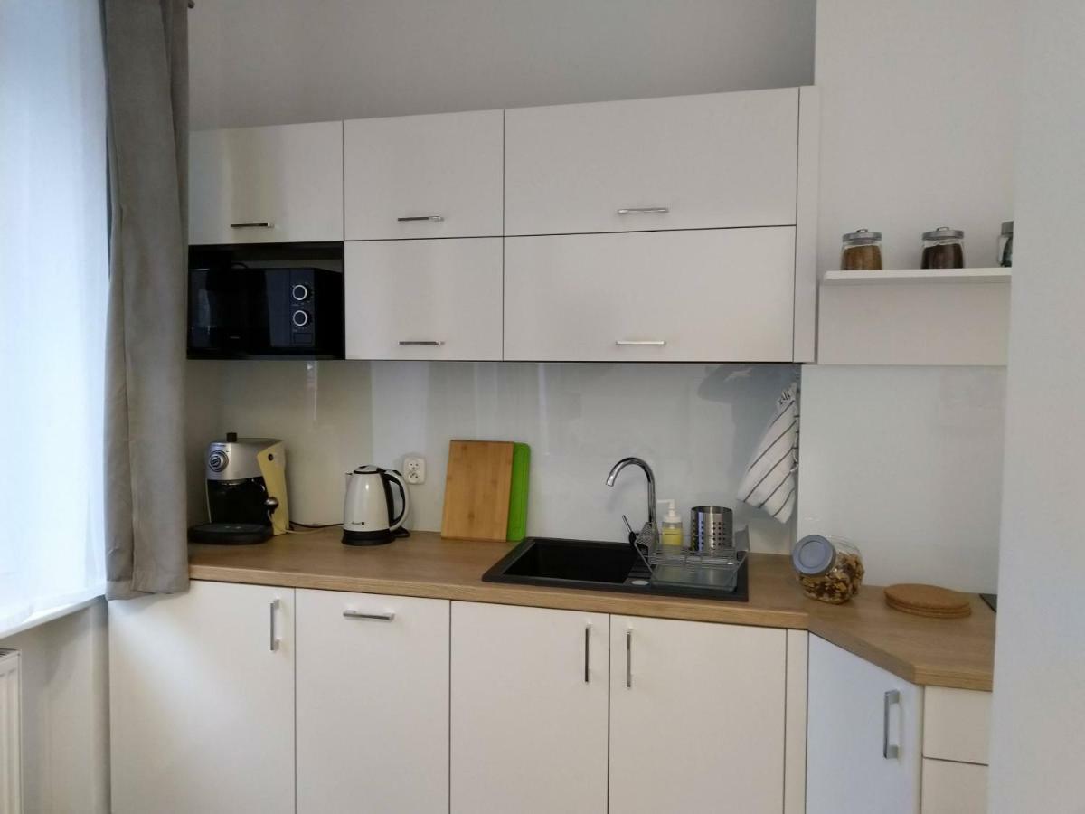 Apartament Przedzamcze Торунь Экстерьер фото